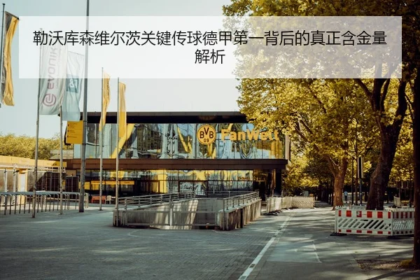 勒沃库森维尔茨关键传球德甲第一背后的真正含金量解析