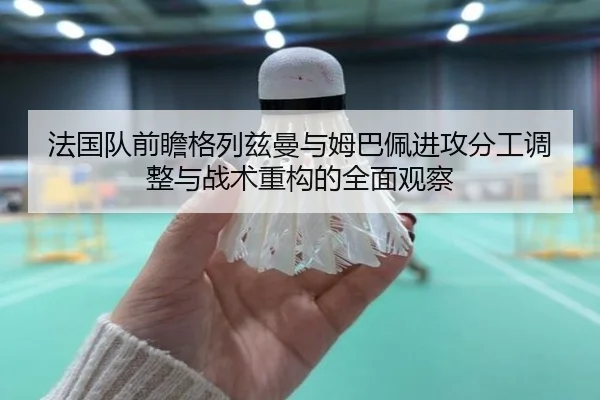 法国队前瞻格列兹曼与姆巴佩进攻分工调整与战术重构的全面观察